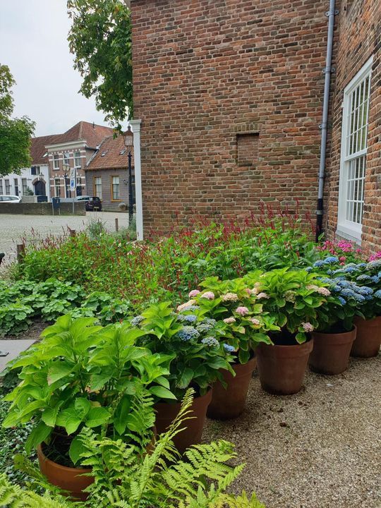 Kosterstraat 36, Doesburg foto-6