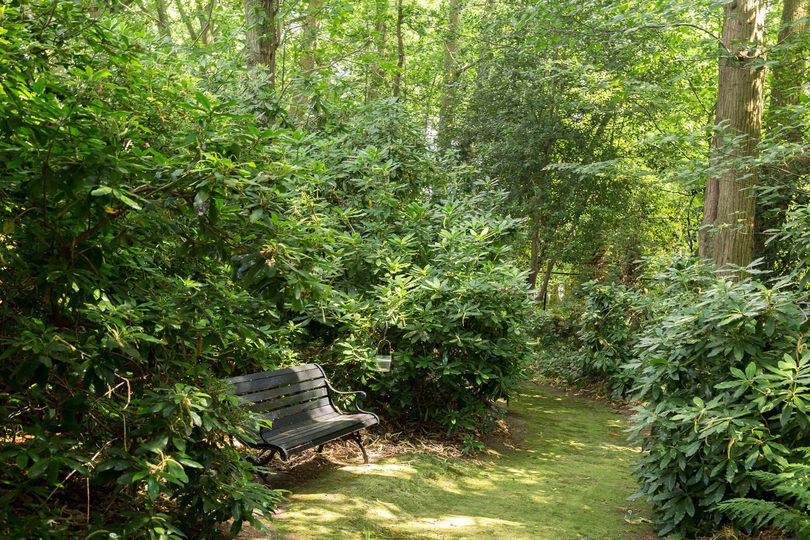 Plantagebaan 221, Wouwse Plantage foto-50