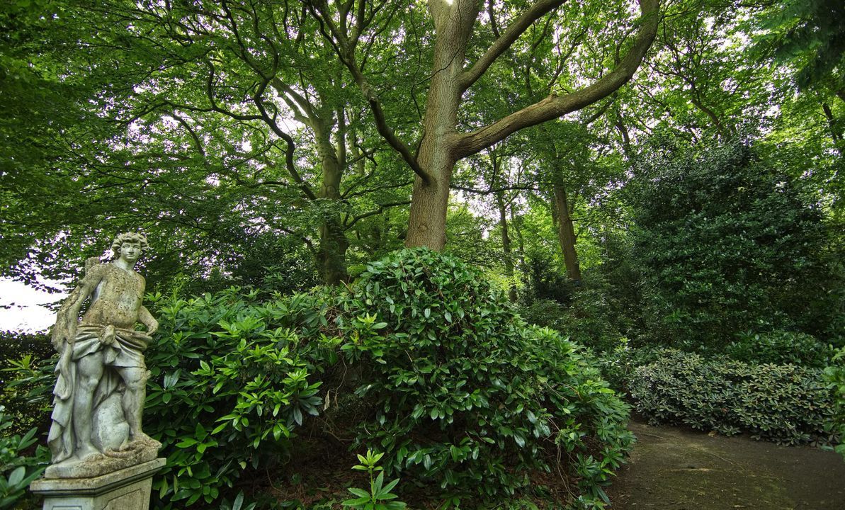 Plantagebaan 221, Wouwse Plantage foto-68