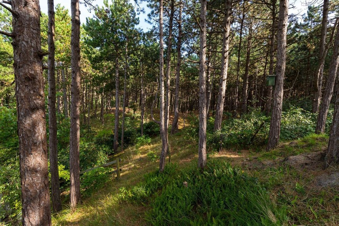 Dennenlaan 16, Vlieland foto-50