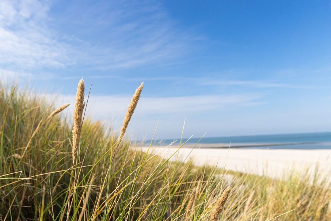 Dennenlaan 16, Vlieland foto-62