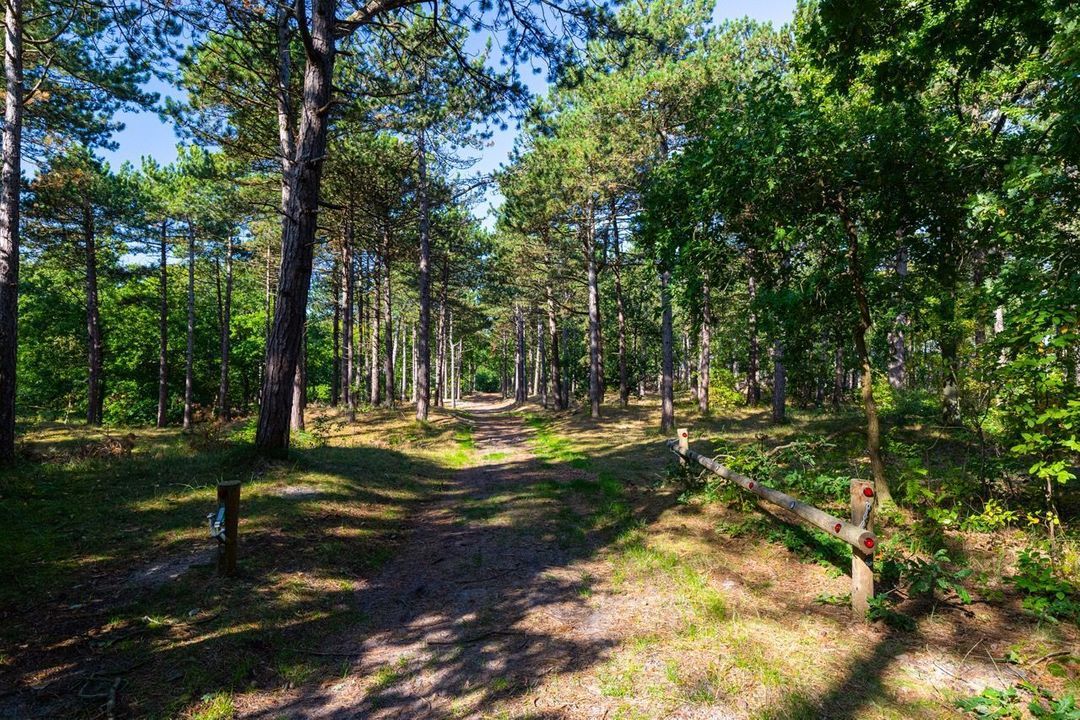 Dennenlaan 16, Vlieland foto-51