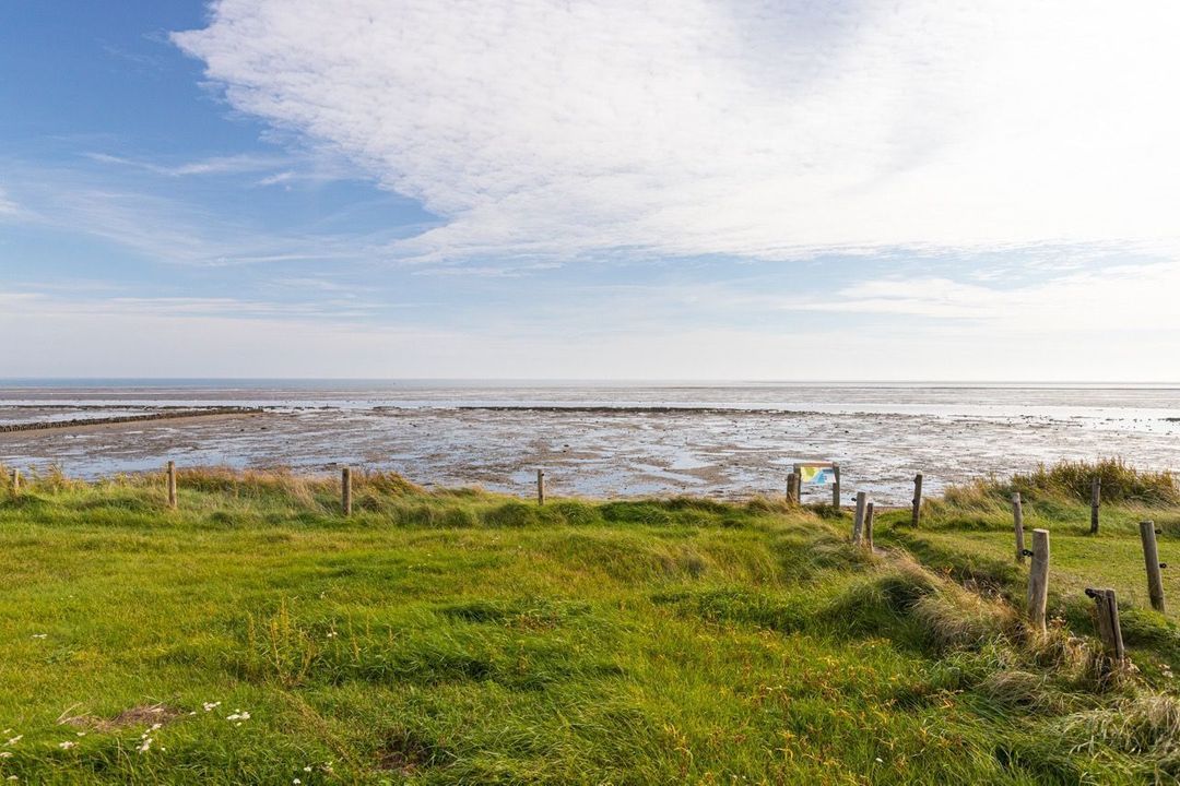 Dennenlaan 16, Vlieland foto-60
