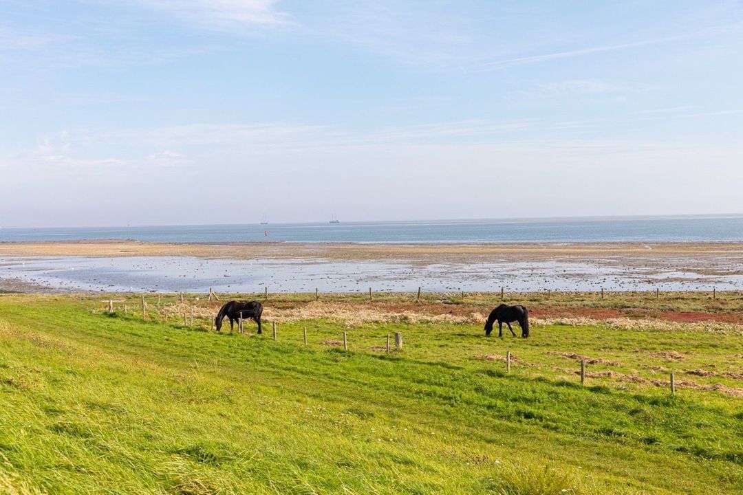 Dennenlaan 16, Vlieland foto-61