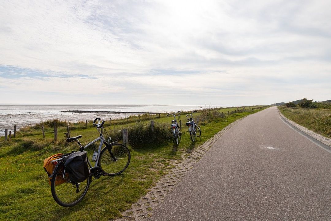 Dennenlaan 16, Vlieland foto-57