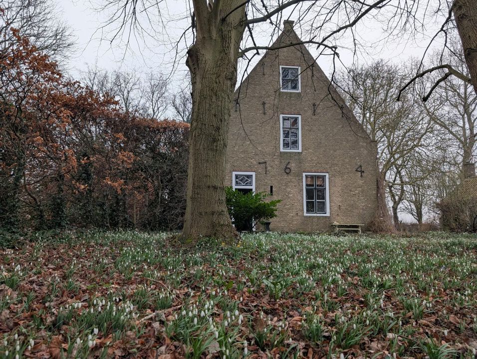 Zuidstraat 5, Dreischor foto-59