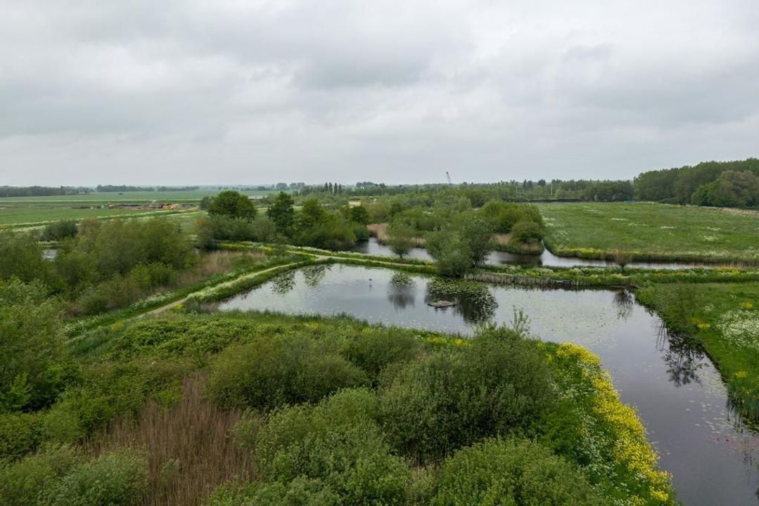 Straat van Ormoes 147, Delft foto-33