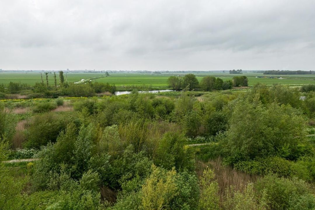 Straat van Ormoes 147, Delft foto-32