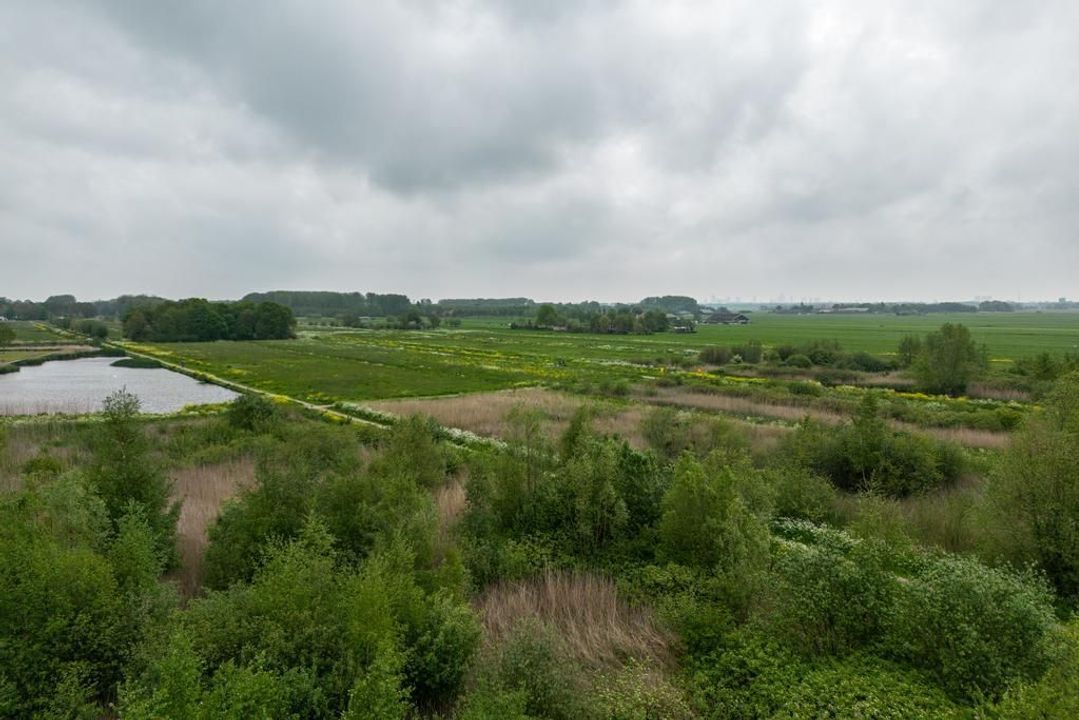Straat van Ormoes 147, Delft foto-34
