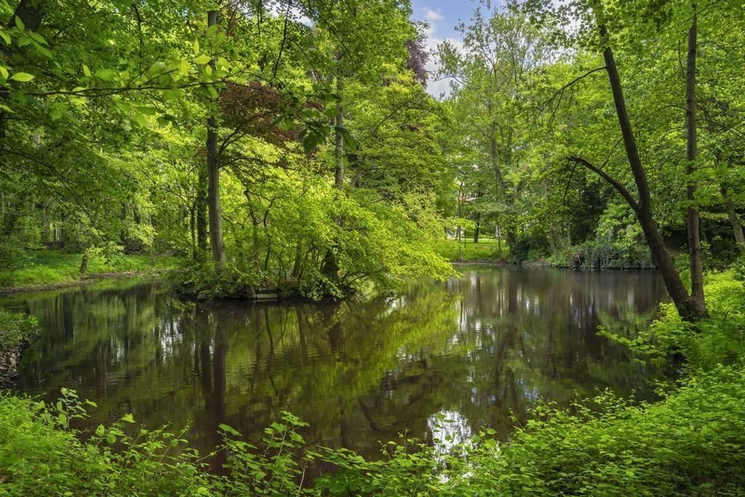 Belgie Kasteel Lexhy 1.13, Horion Hozemont foto-28