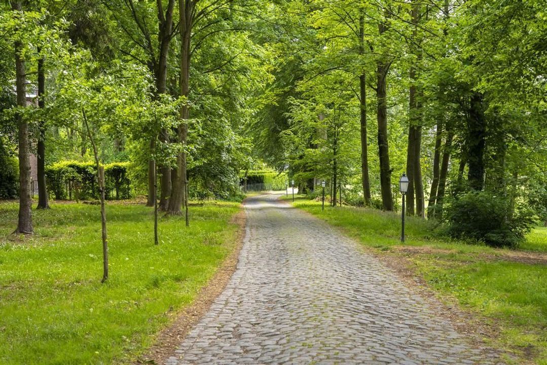 Belgie Kasteel Lexhy 1.13, Horion Hozemont foto-32