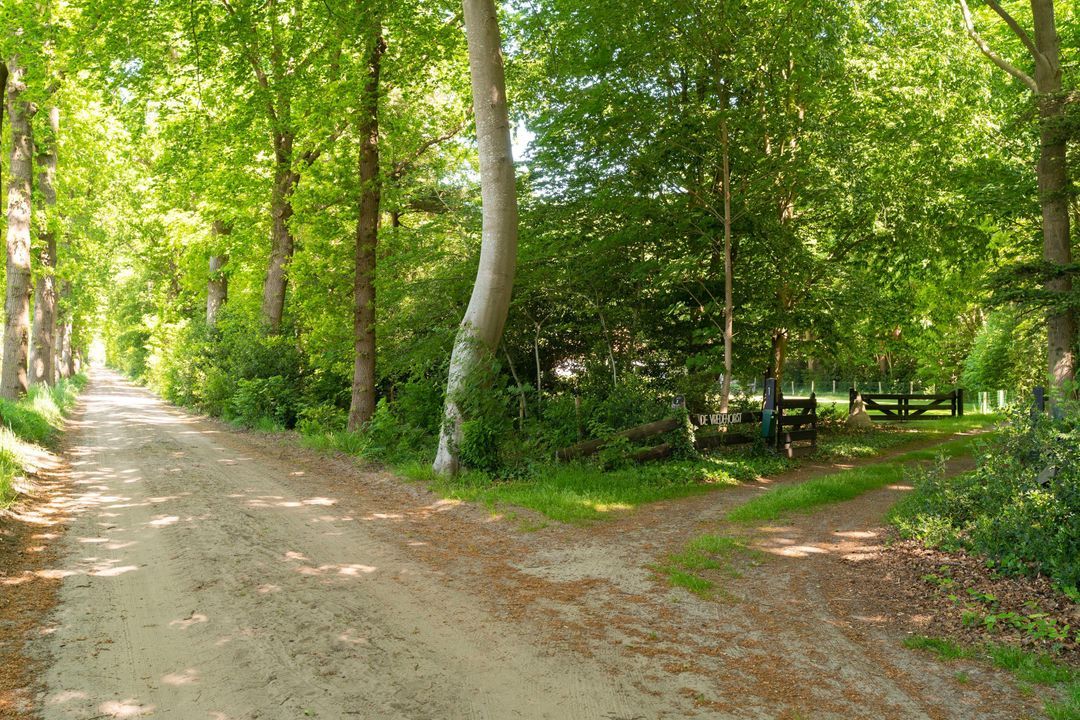 Vredeslaan 1, Frederiksoord foto-4