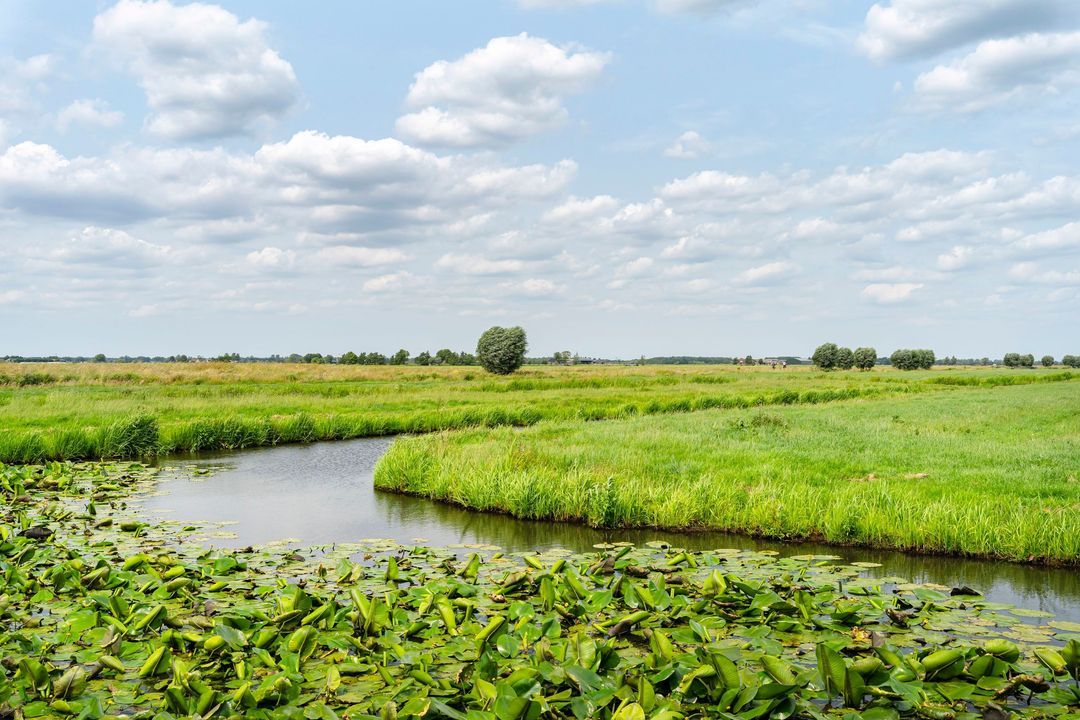 Opperduit 146, Lekkerkerk foto-56