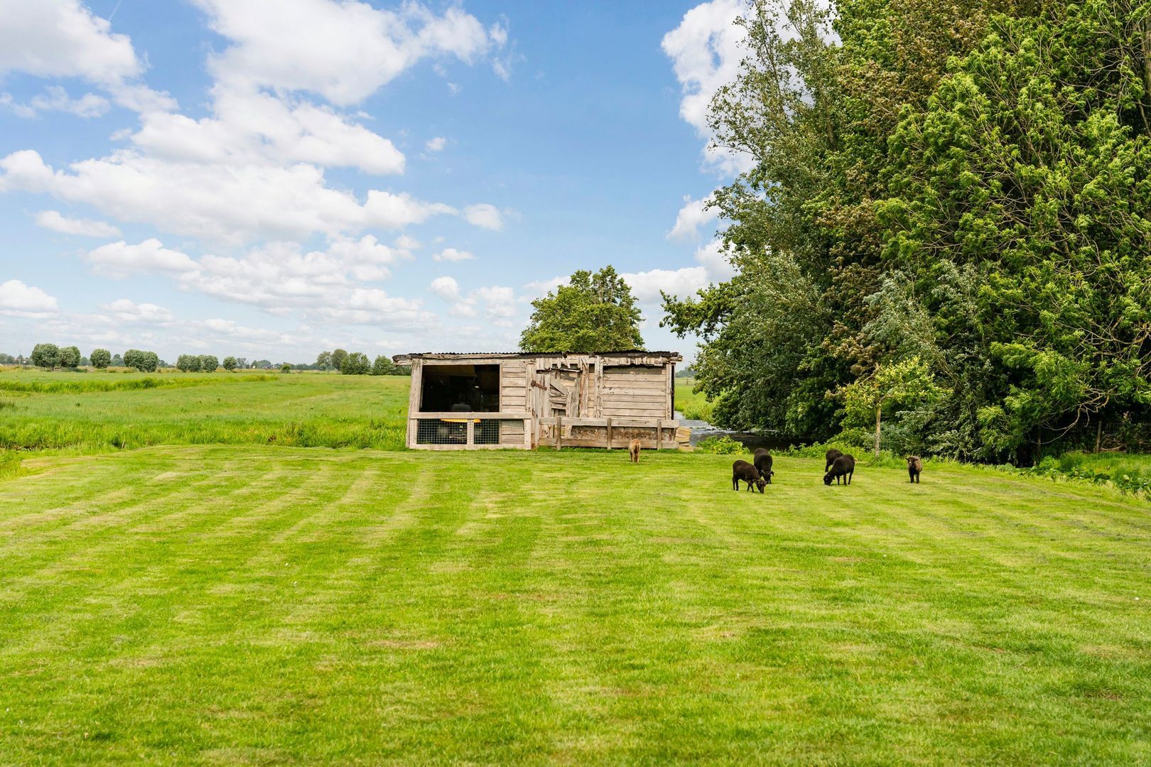 Opperduit 146, Lekkerkerk foto-57