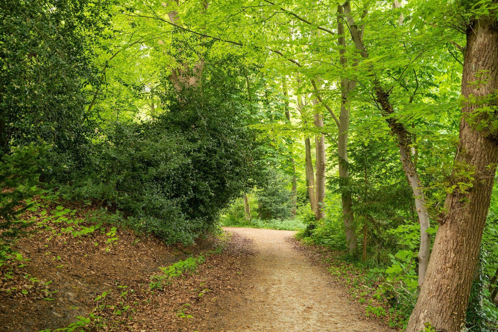 Rust en Vreugdlaan 1 A, Wassenaar foto-51
