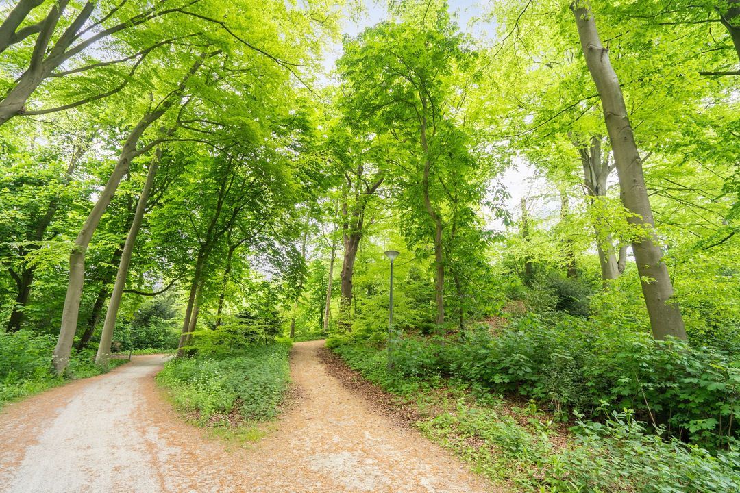 Rust en Vreugdlaan 1 A, Wassenaar foto-52