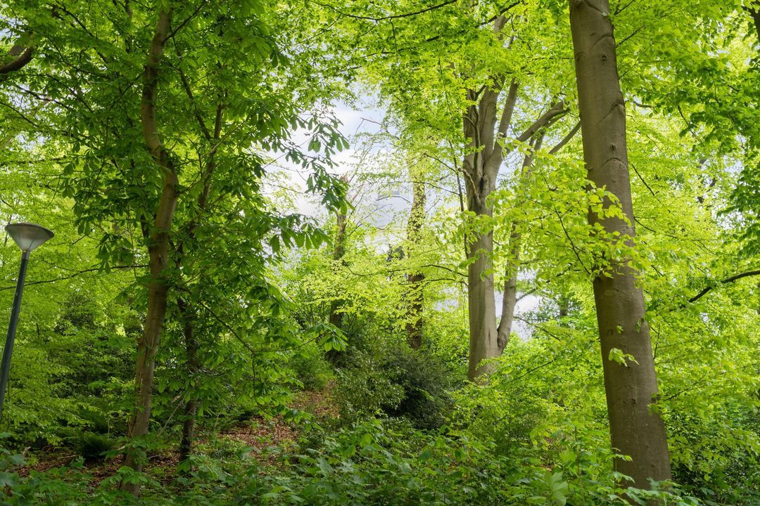 Rust en Vreugdlaan 1 A, Wassenaar foto-53