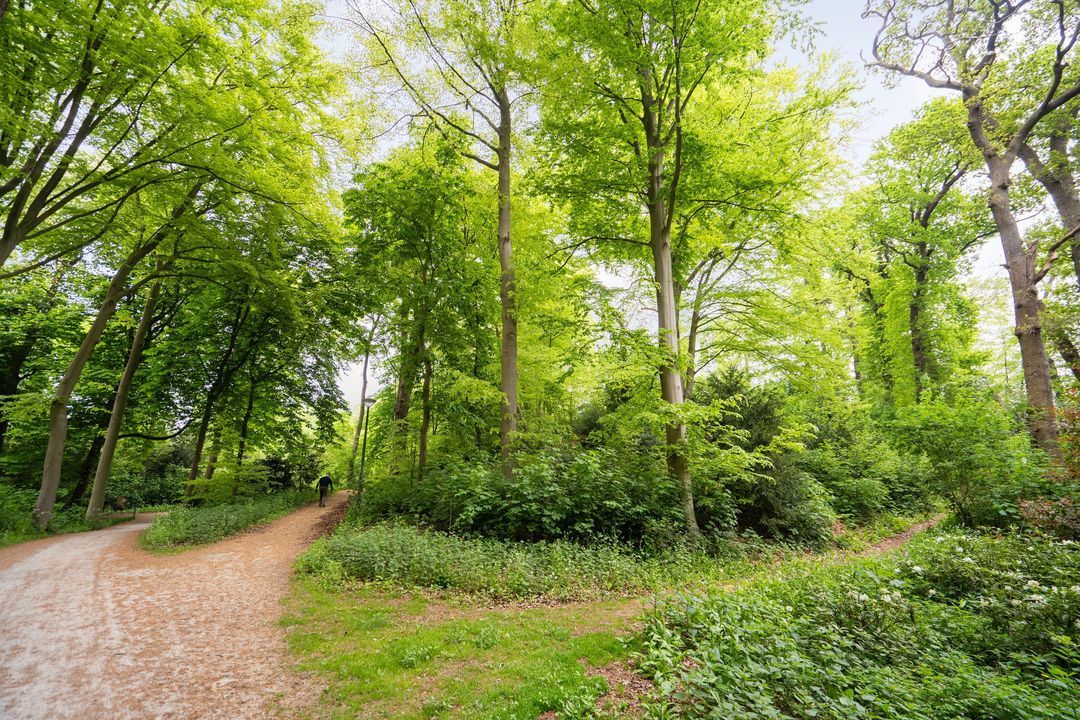 Rust en Vreugdlaan 1 A, Wassenaar foto-54
