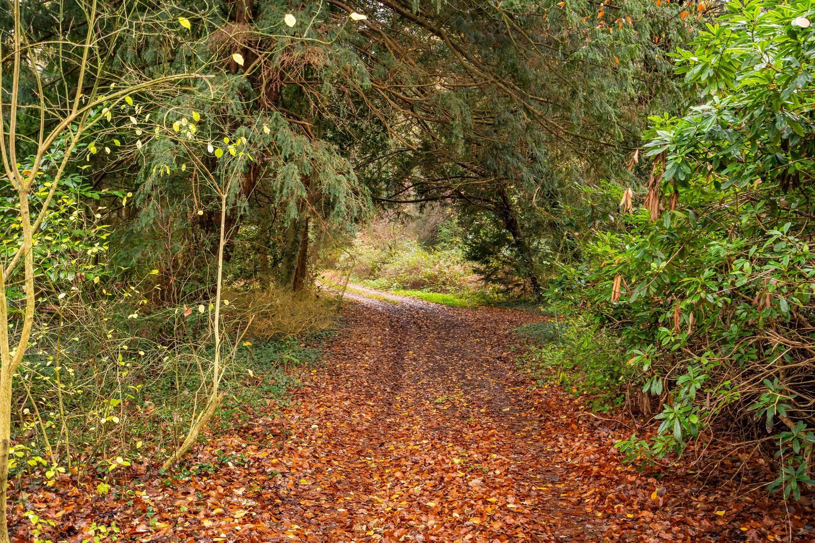 Zijdeweg 47, Wassenaar foto-55
