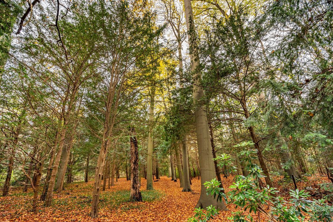 Zijdeweg 47, Wassenaar foto-61