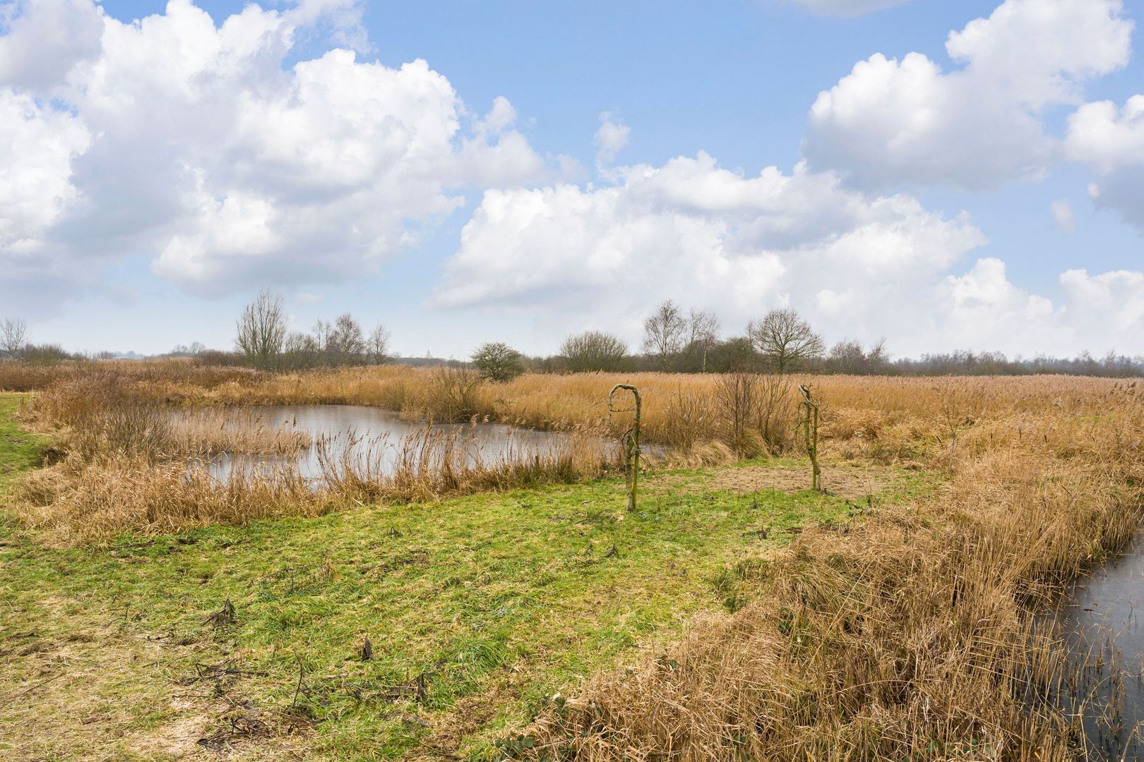 Veendijk 5, Nijetrijne foto-57