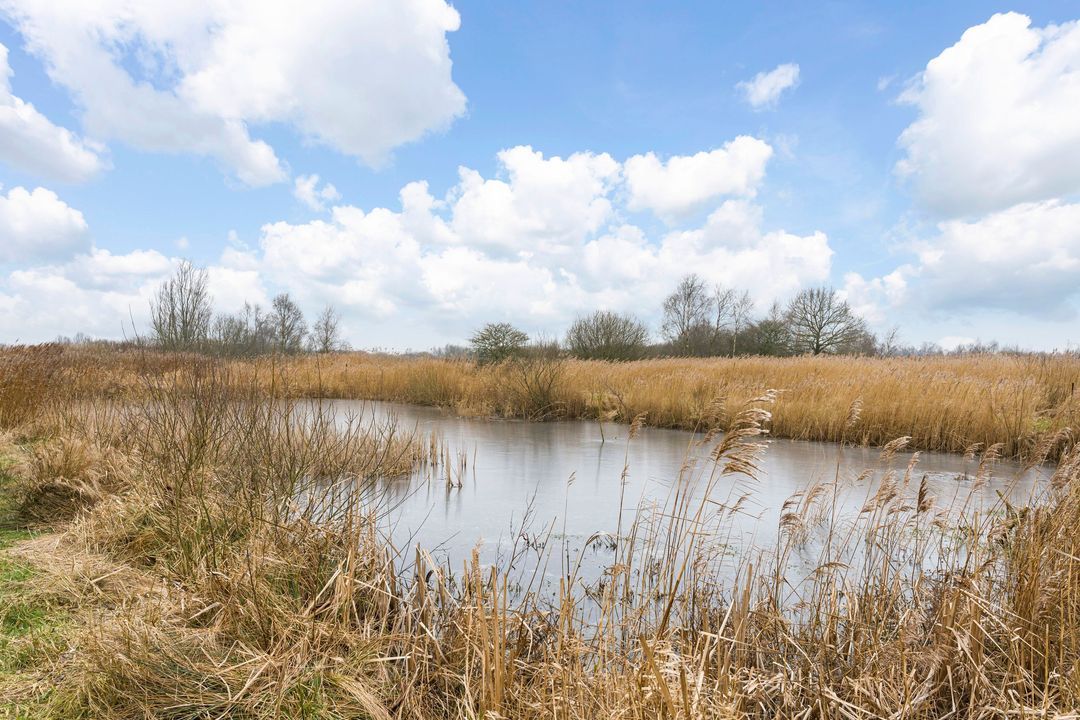 Veendijk 5, Nijetrijne foto-54