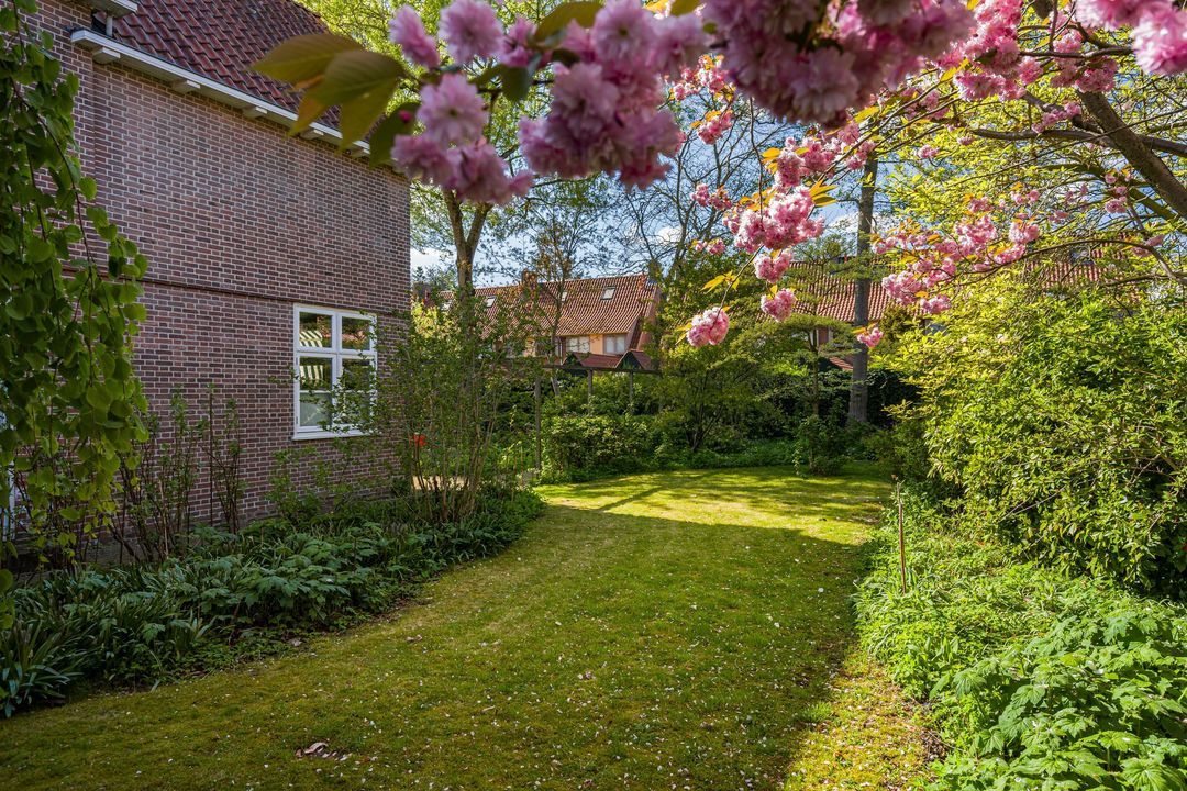 Lede 37, Rotterdam foto-45