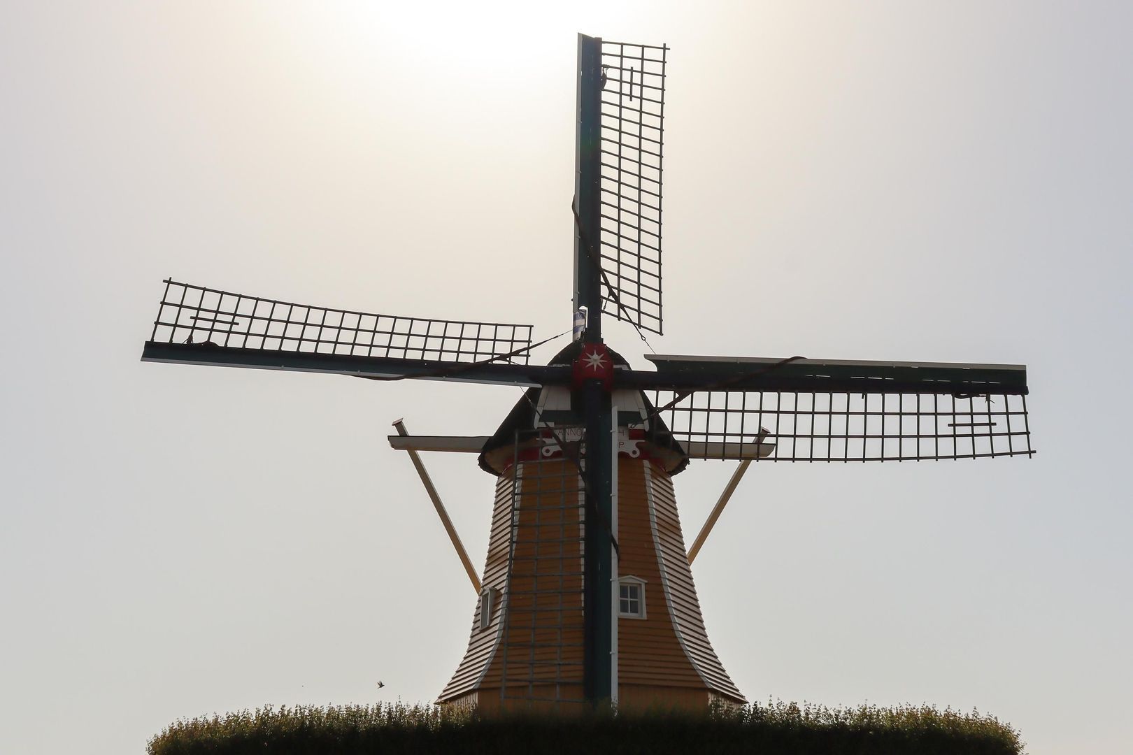 Oostdijk 43, Sint Philipsland foto-55