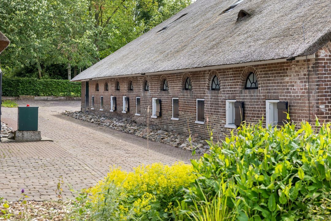 Leeuwte 51, Sint Jansklooster foto-86