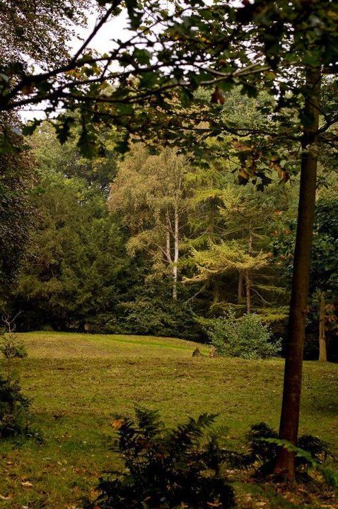 Zwartelaan 1, Oostvoorne foto-16
