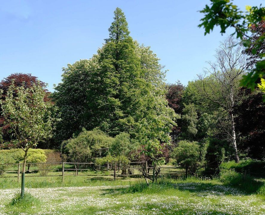 Zwartelaan 1, Oostvoorne foto-63