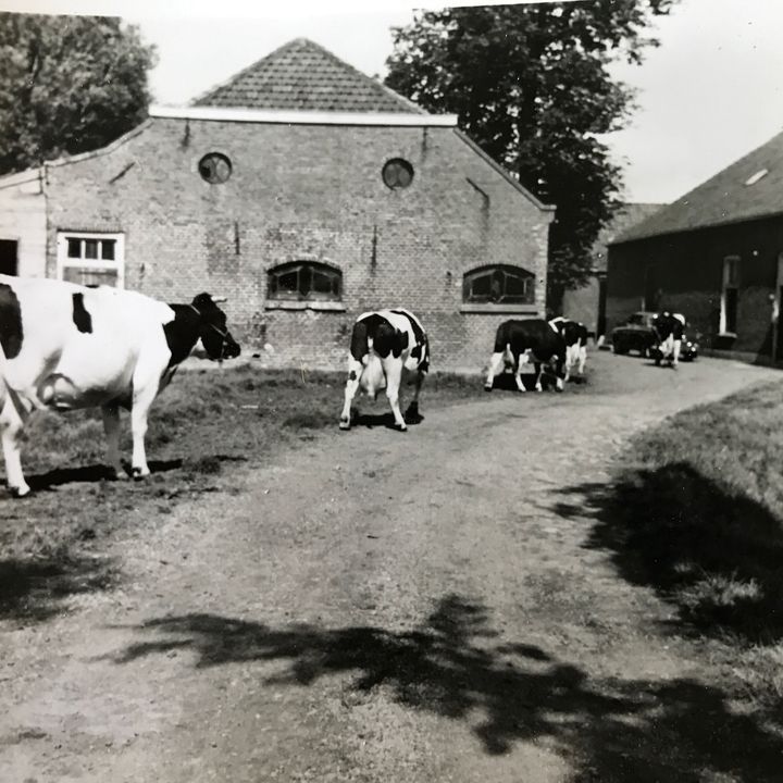 Delftweg 254, Rotterdam foto-81