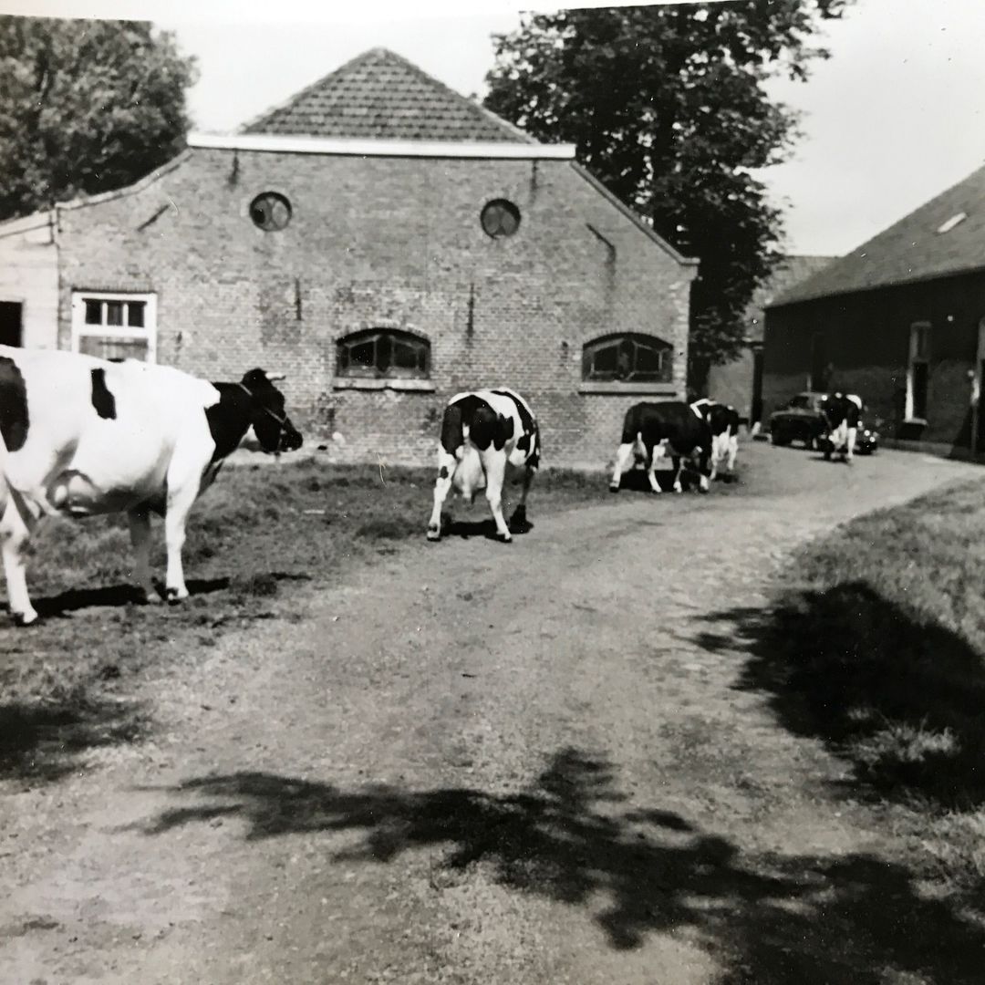 Delftweg 254, Rotterdam foto-81