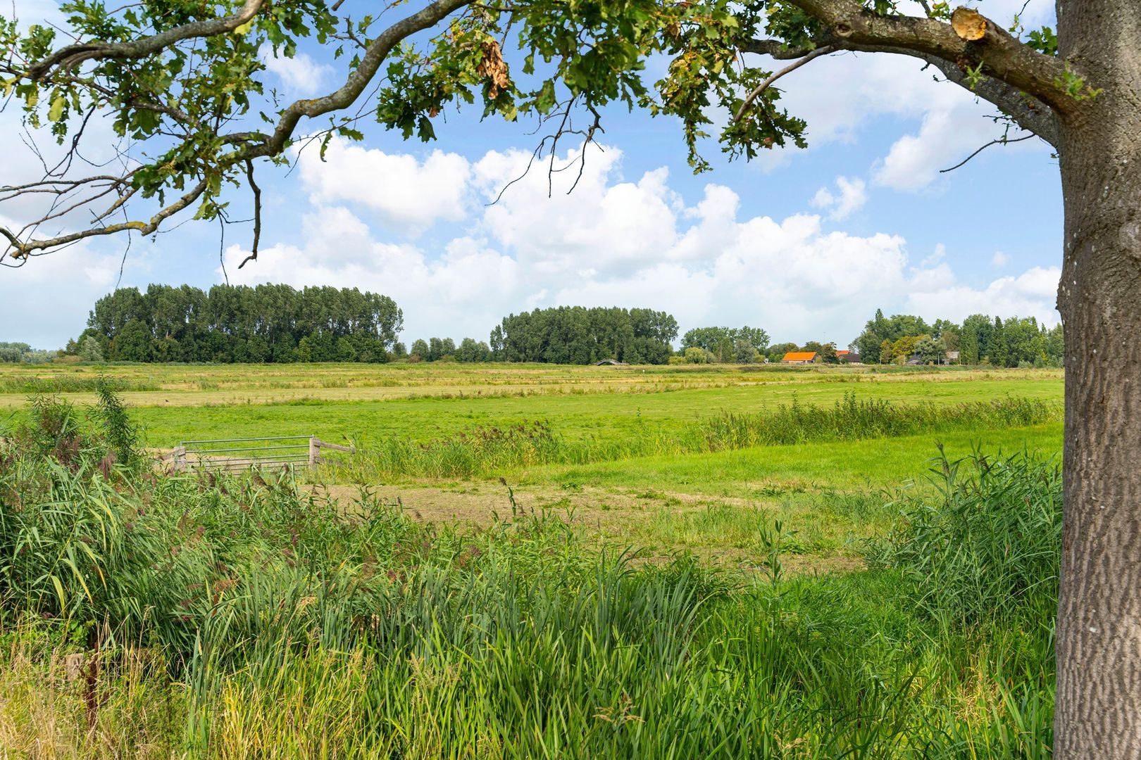 Delftweg 254, Rotterdam foto-74