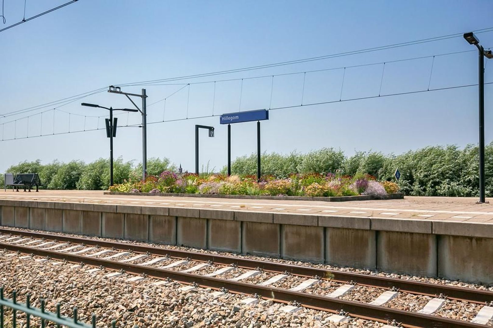 Piet van Damlaan 40, Hillegom foto-23