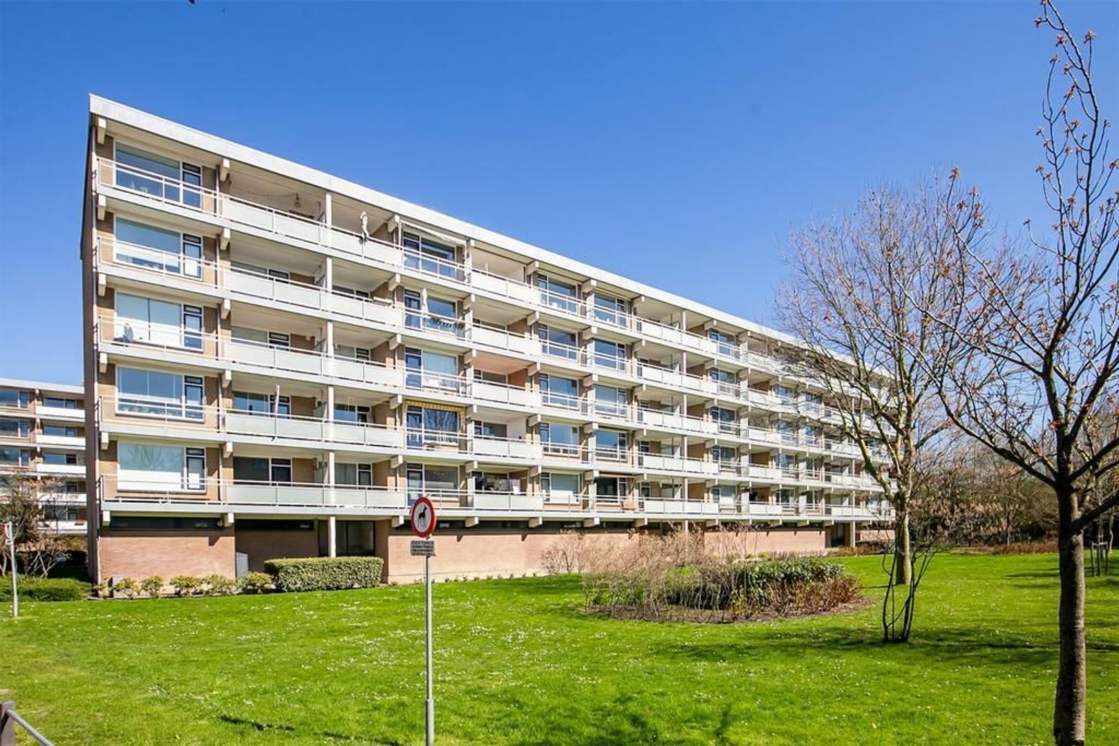 Boerhaavelaan 121, Leiden foto-0