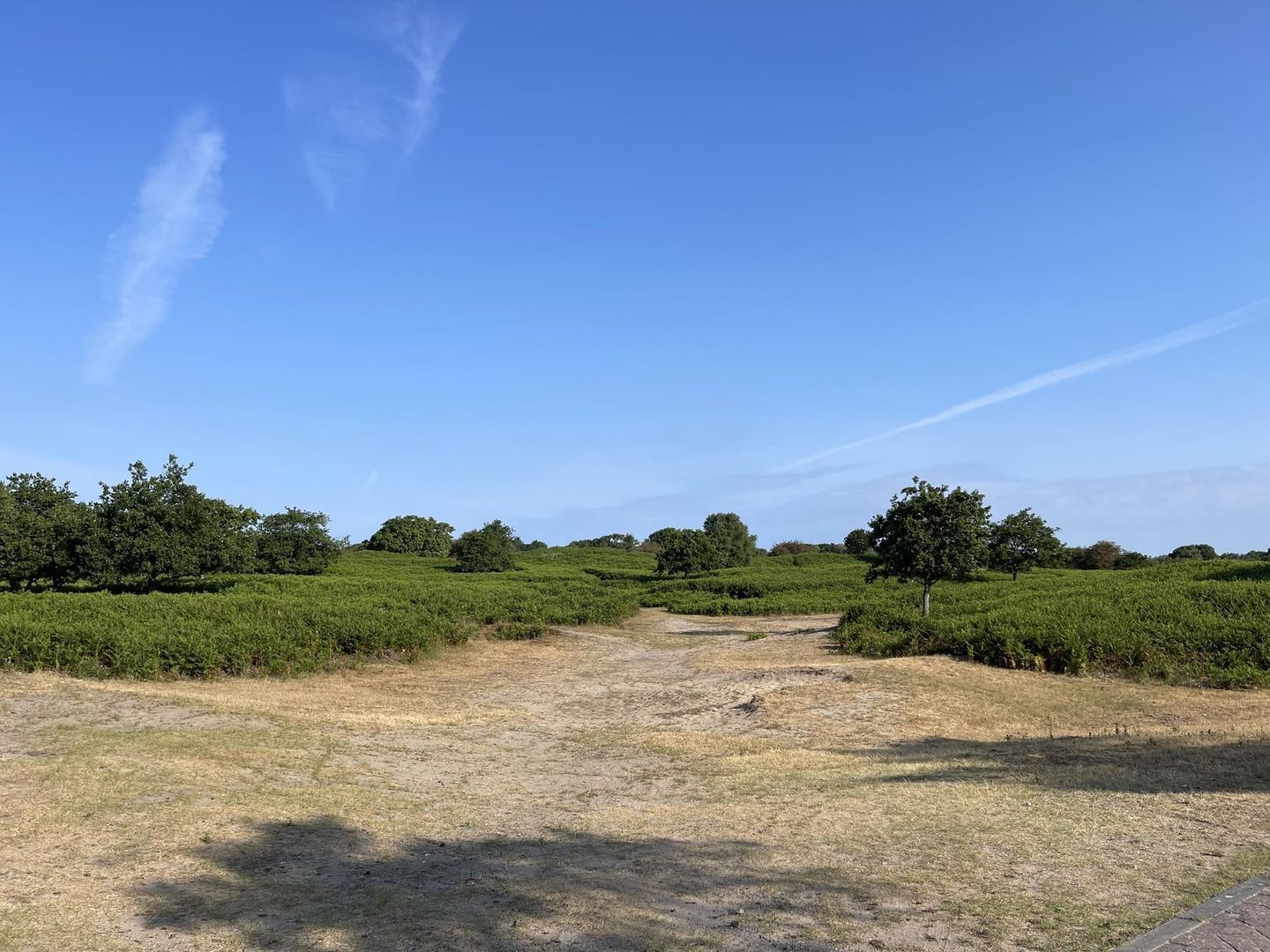 Beukenlaan 22, De Zilk foto-34