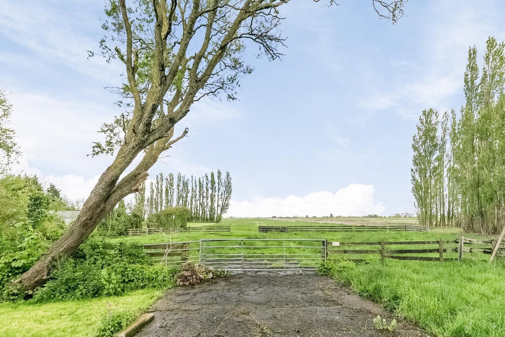 Dorpsstraat 17, Koudekerk Aan Den Rijn foto-38