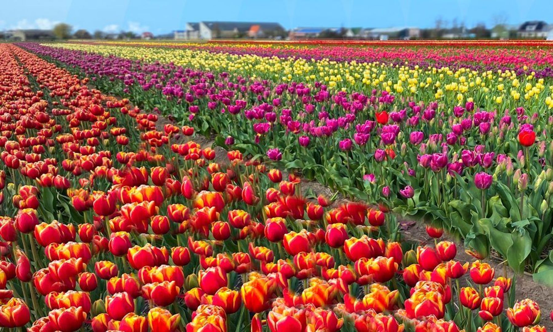 Kanaalstraat 208, Lisse foto-39