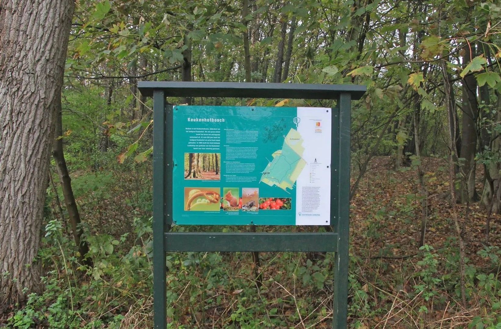 Kanaalstraat 208, Lisse foto-36