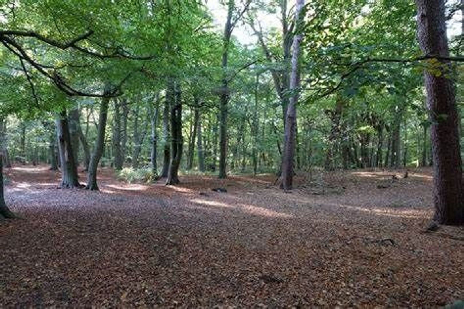 Kanaalstraat 208, Lisse foto-37