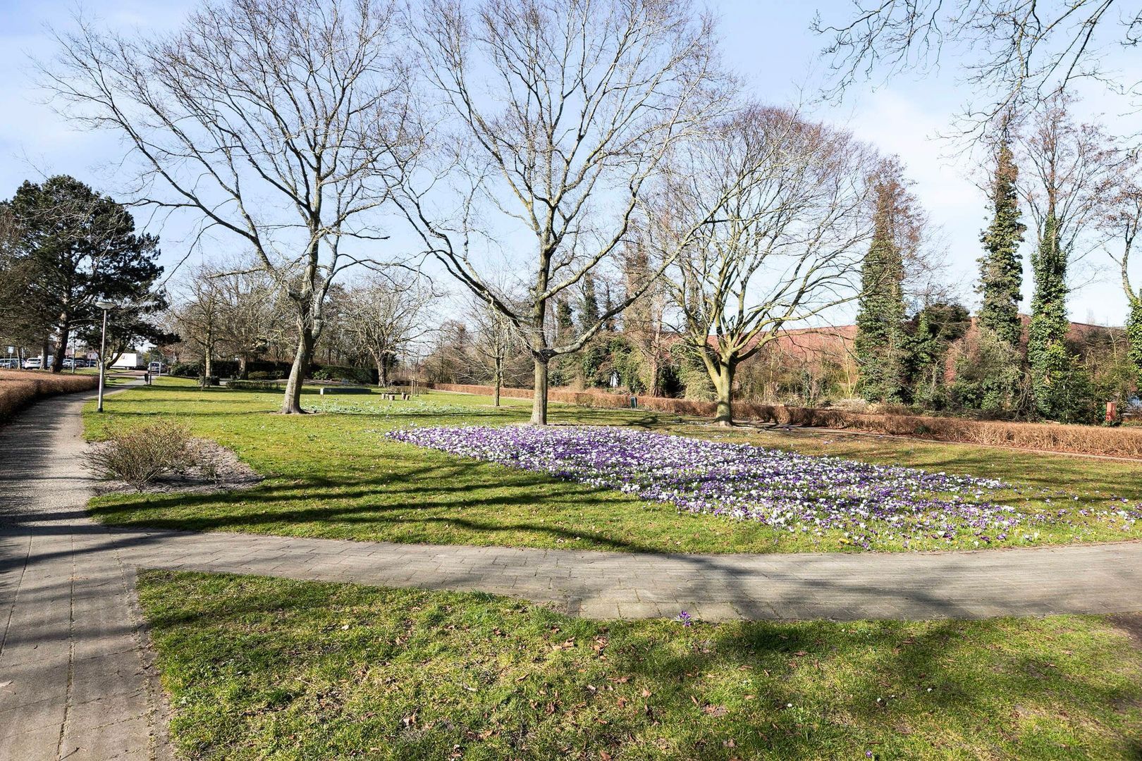 Van Meerbeekstraat 1, Hillegom foto-32