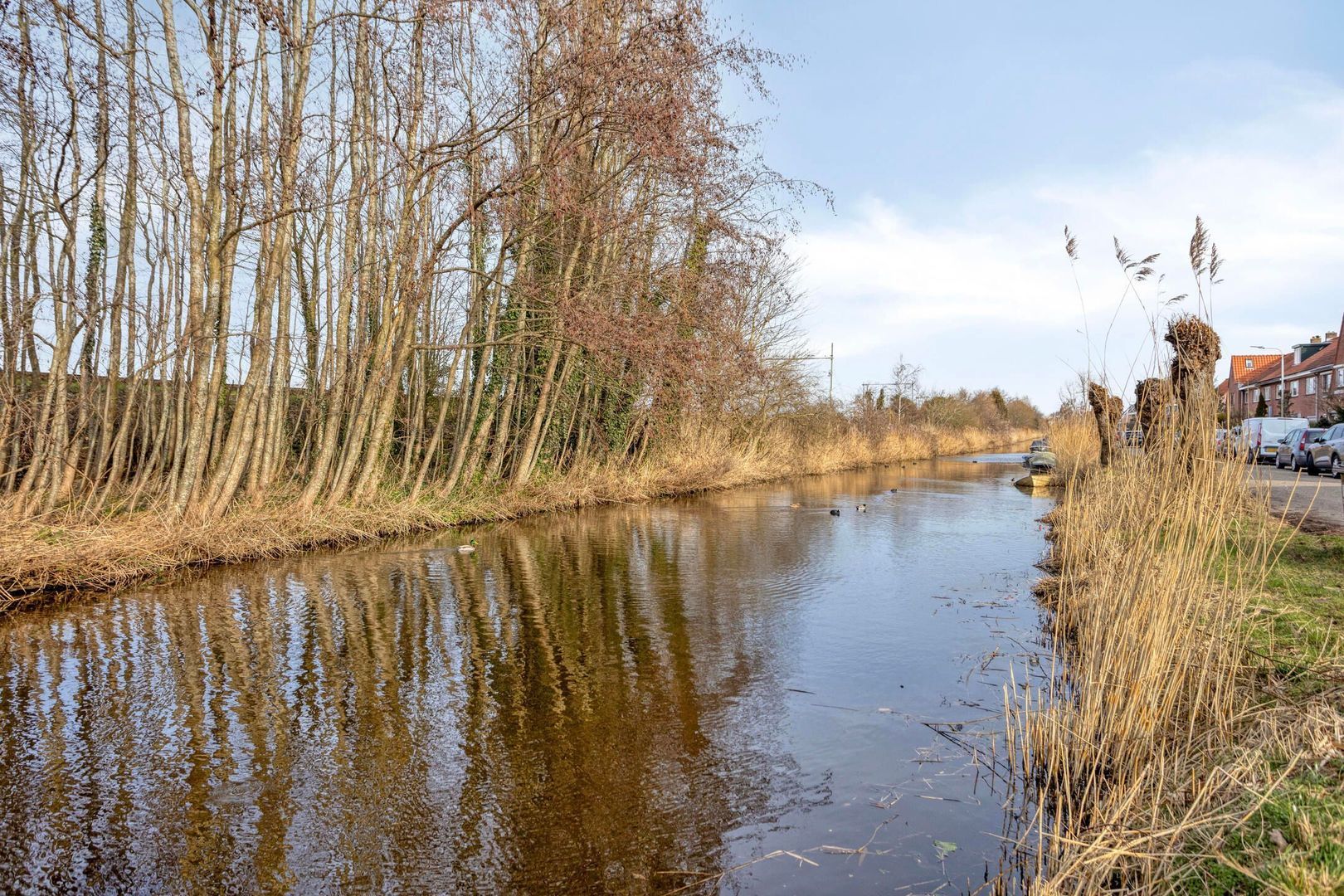 Parallelweg 147, Hillegom foto-32