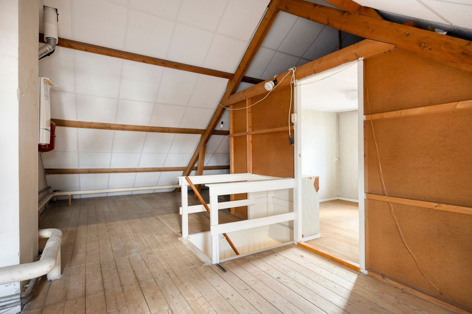 von Bönninghausenlaan 9, Lisse foto-37