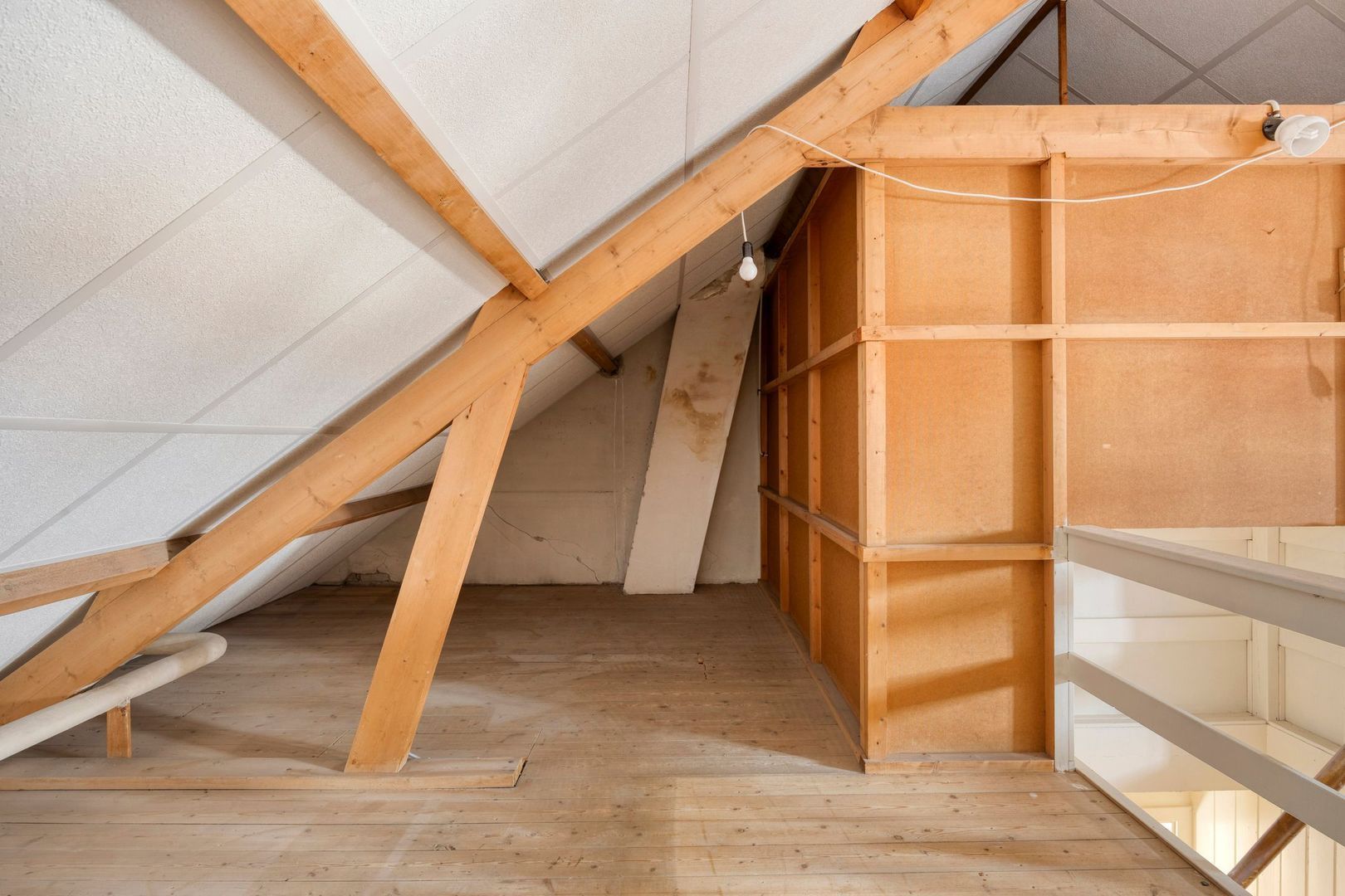 von Bönninghausenlaan 9, Lisse foto-39