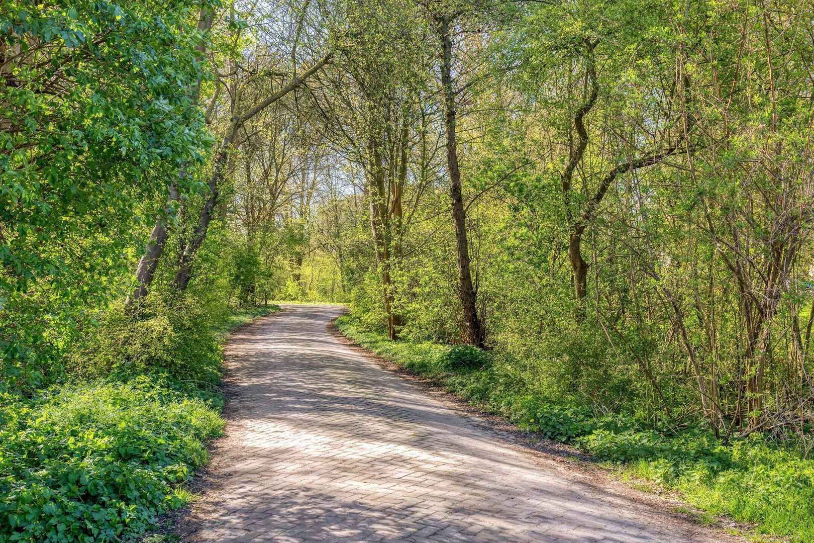 Mahlerstraat 1, Lisse foto-43