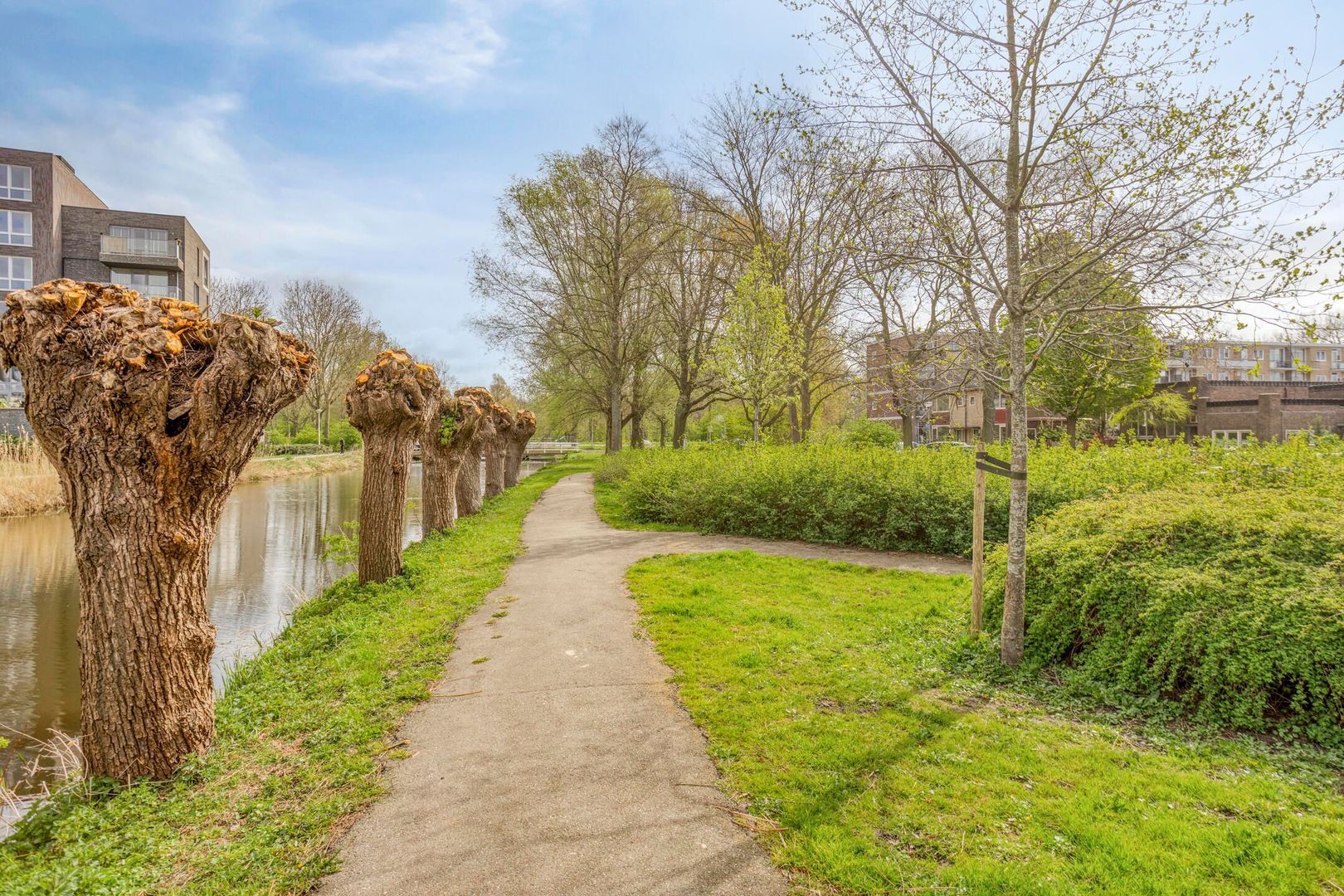 Rozenstraat 21, Alphen Aan Den Rijn foto-40