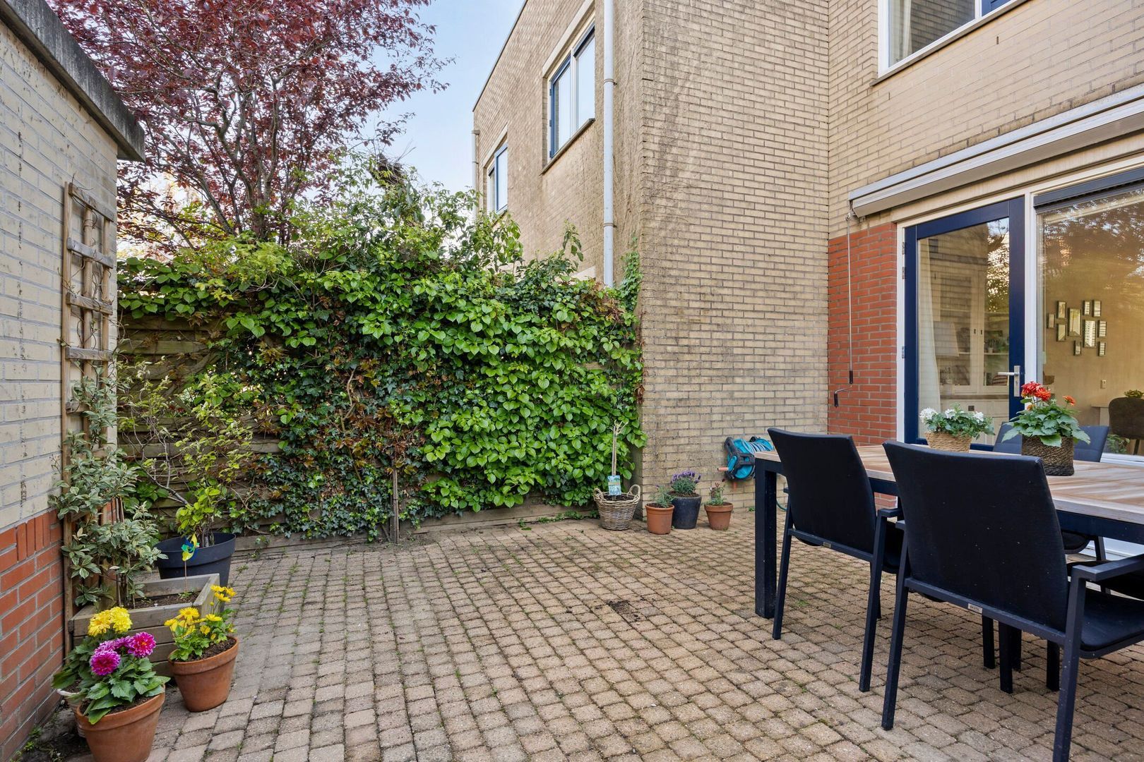 Punterhof 14, Lisse foto-12