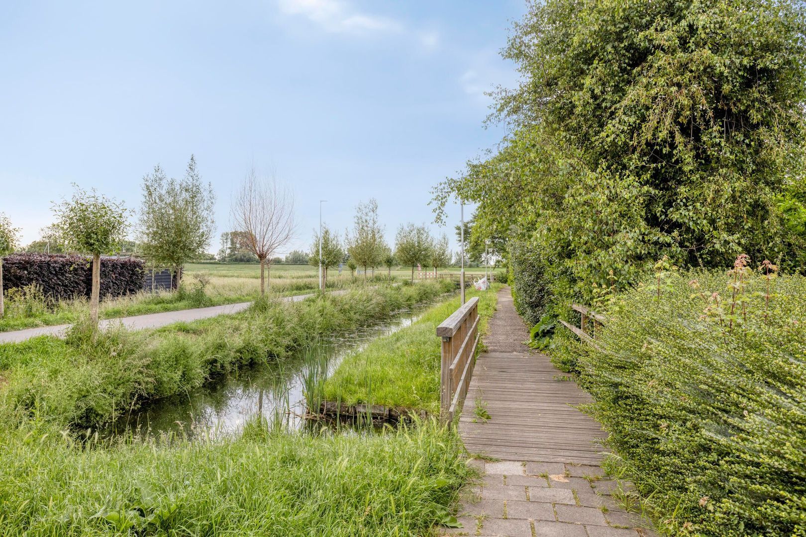 Zwanebloem 1, Woubrugge foto-39