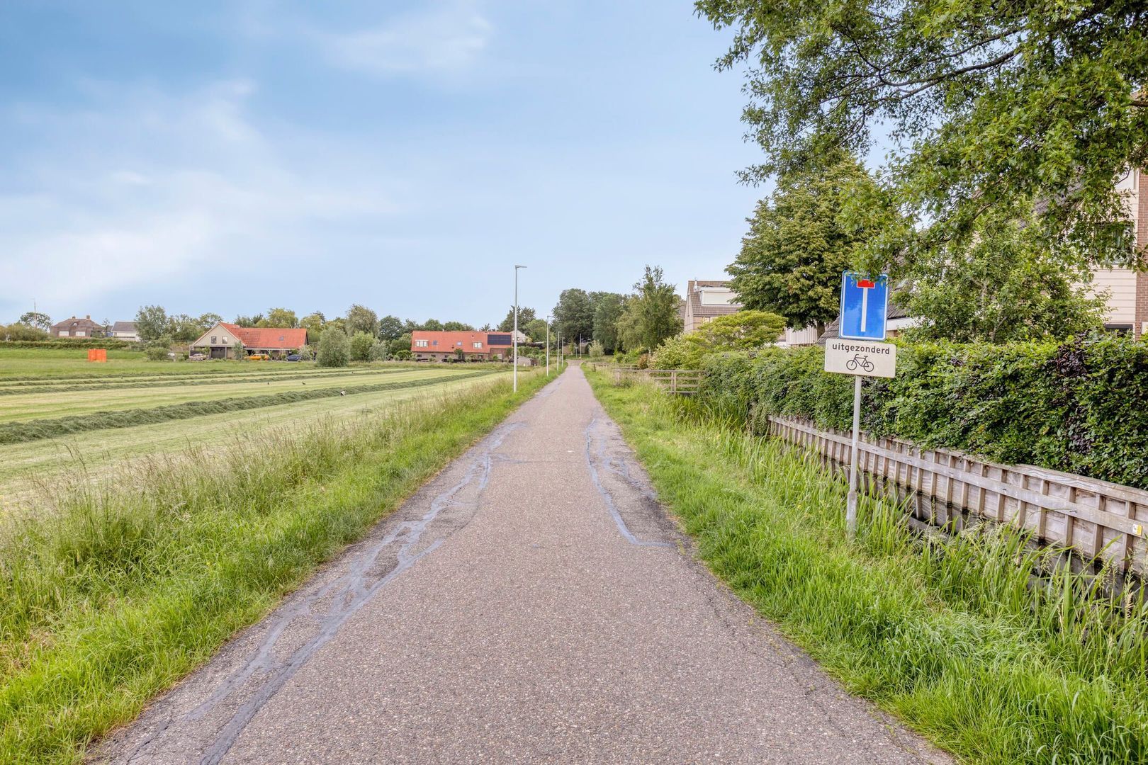 Zwanebloem 1, Woubrugge foto-40
